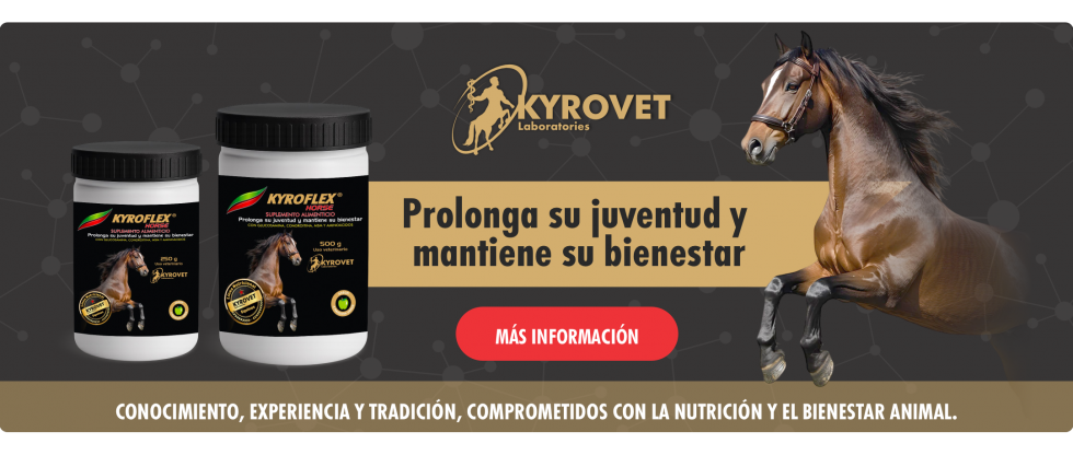 kyroflex3-980x416